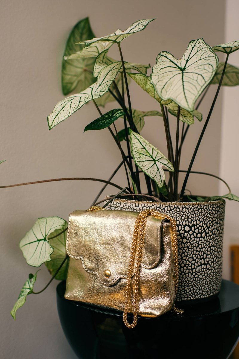 Sac Pochette MINI PIA METAL - Doré – Image 3