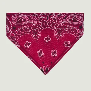 Grand bandana collier chien - Bordeaux / Fuschia - Taille L