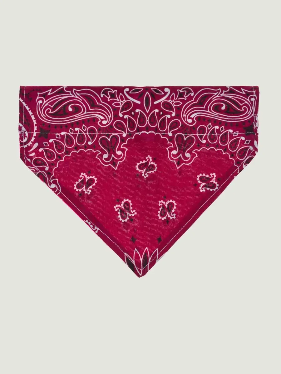 Grand bandana collier chien - Bordeaux / Fuschia - Taille L – Image 2