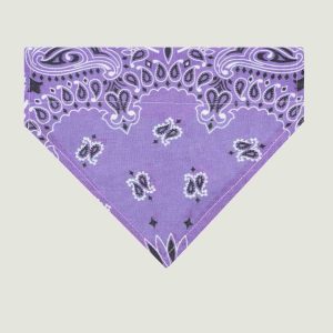 Grand bandana collier chien - Lilas / Mint - Taille L