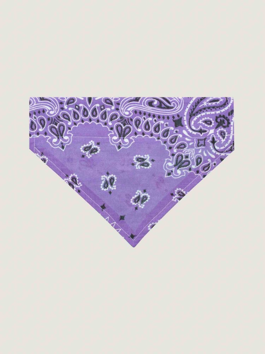 Bandana collier chien - Lilas / Mint - Taille M